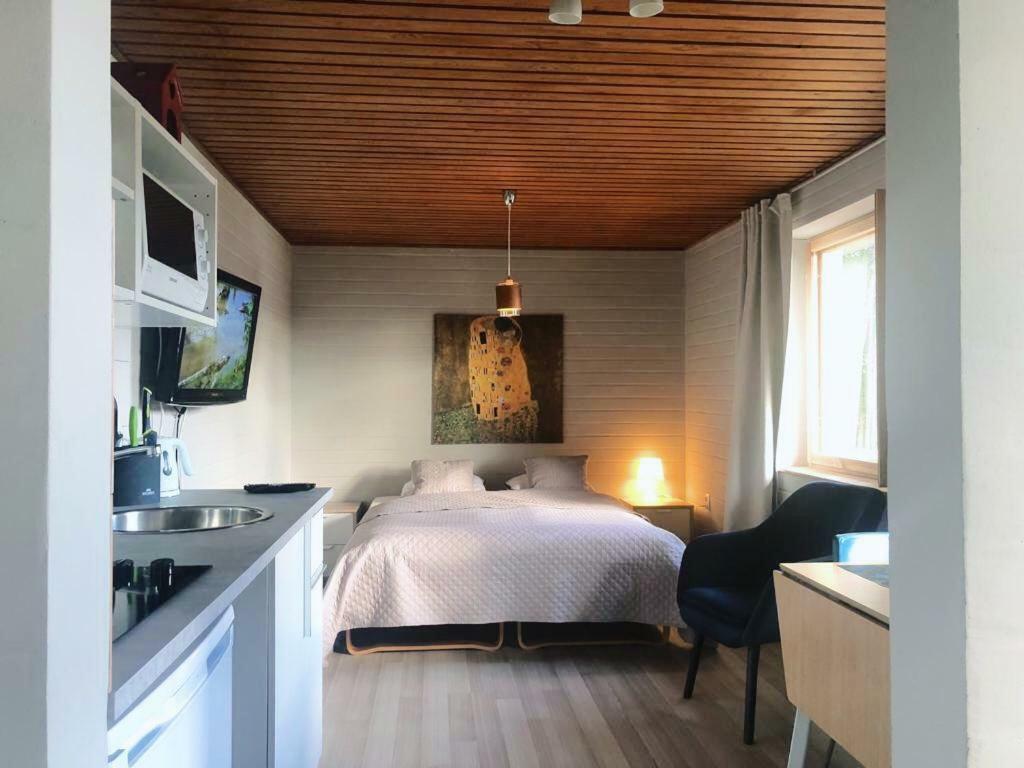 Villa Rajala إيماترا المظهر الخارجي الصورة